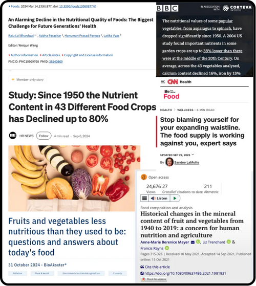 Food articles