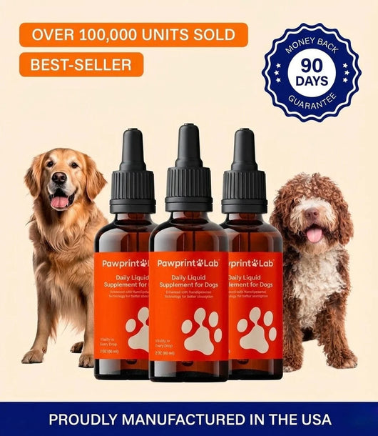 The Science-Backed Protocol to Boost Dog Health Span
