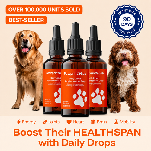 The Science-Backed Protocol to Boost Dog Health Span
