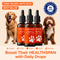 The Science-Backed Protocol to Boost Dog Health Span