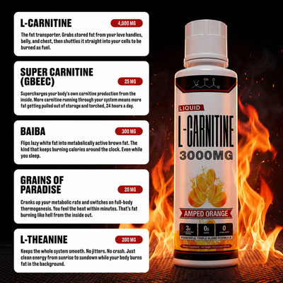 Liquid L-Carnitine 3000MG