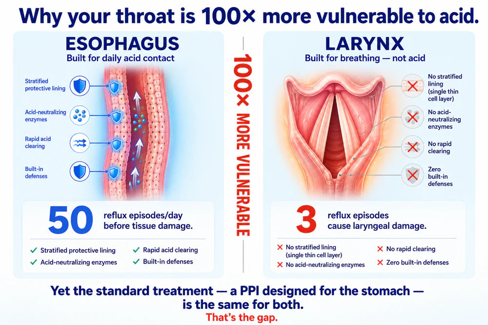 Throat vulnerability diagram