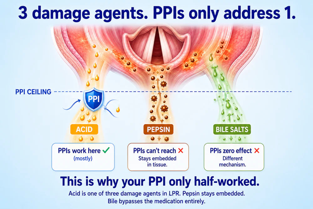 Three damage agents diagram