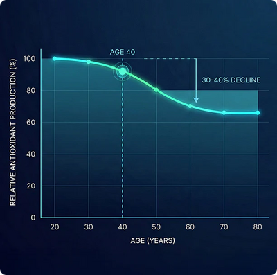 Declining cellular function with age
