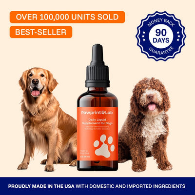 The Science-Backed Protocol to Boost Dog Health Span