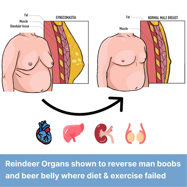 3. Speeds up weight loss and Melts Man Boobs and Beer Belly in weeks