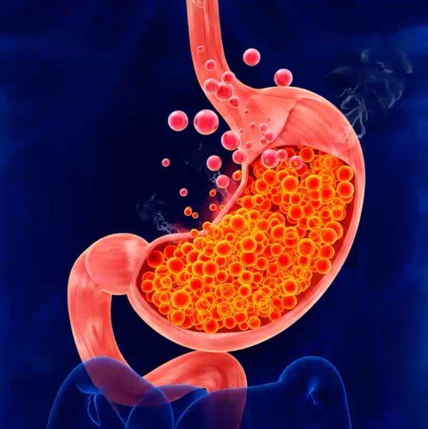 Esophagus close-up