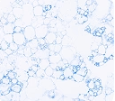 Elemental Magnesium