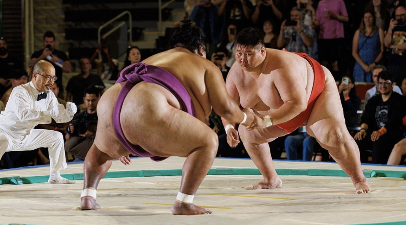 Sumo wrestlers competing