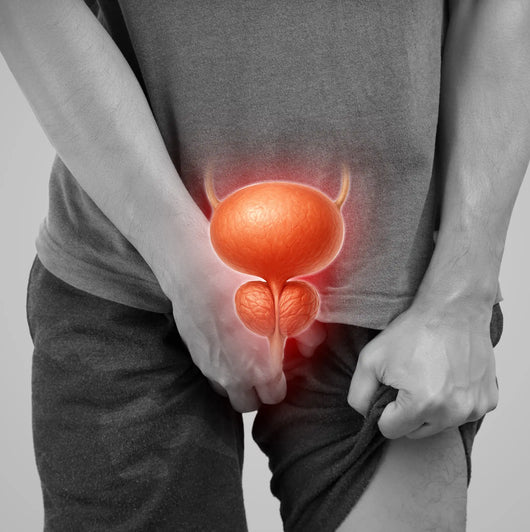 Most Doctors Don’t Understand The Prostate